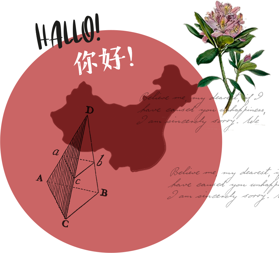 海格时光
